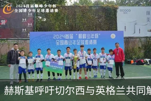 赫斯基呼吁切尔西与英格兰共同解决帕尔默的困境